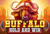 Buffalo Hold and Win slot